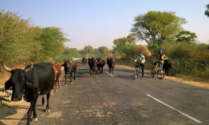 Rural Cycling North India