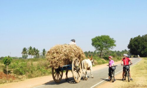 Cycling to Bandipur Karnataka