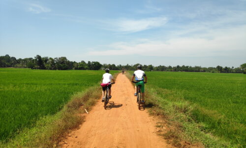 Cycling to Alleppey