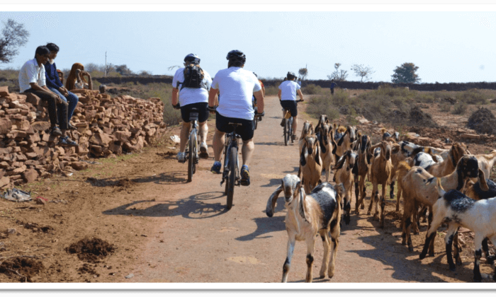 Cycling to Dhamli, Rajasthan
