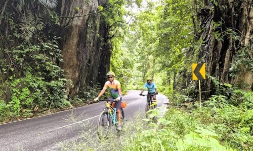 Two cyclists pedal down a offbeat path, surrounded by greenery on their journey to Munnar.