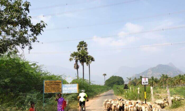 Madurai to Thekkady Cycling