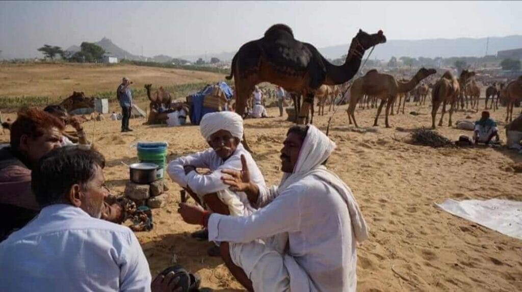 Rural Life Rajasthan