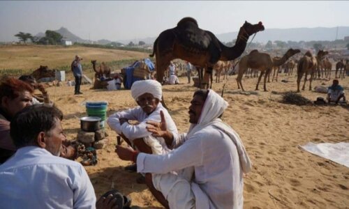 Rural Life Rajasthan