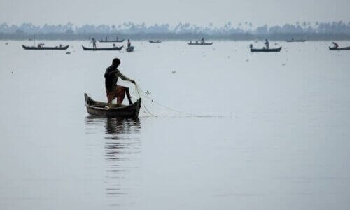 Clam Harvesting Fishing Vembanad Lake