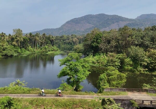 A cyclist riding through the lush green tea plantations of Munnar, Kerala, with misty hills in the background, capturing the serene and refreshing environment of the region.
